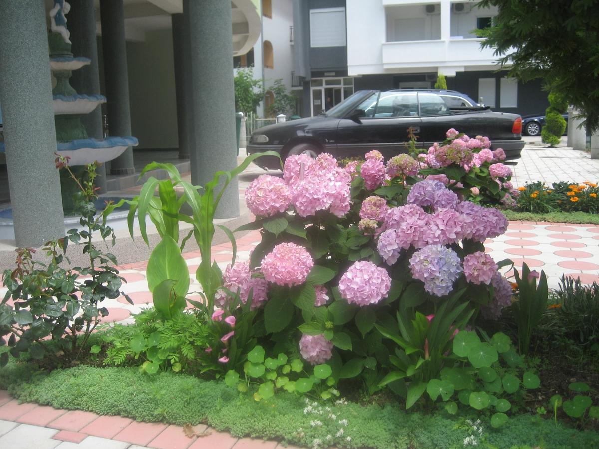 Guest House Vila Mimoza Улцинь Екстер'єр фото
